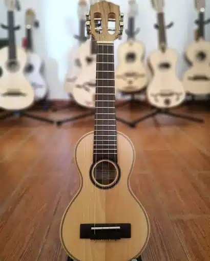 Ukulele
